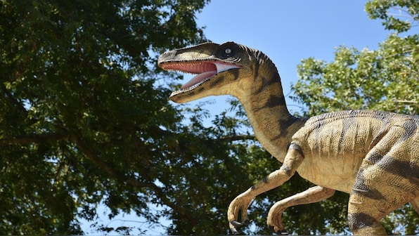 Was there a time when dinosaurs travelled across continents? Here's what new study says
