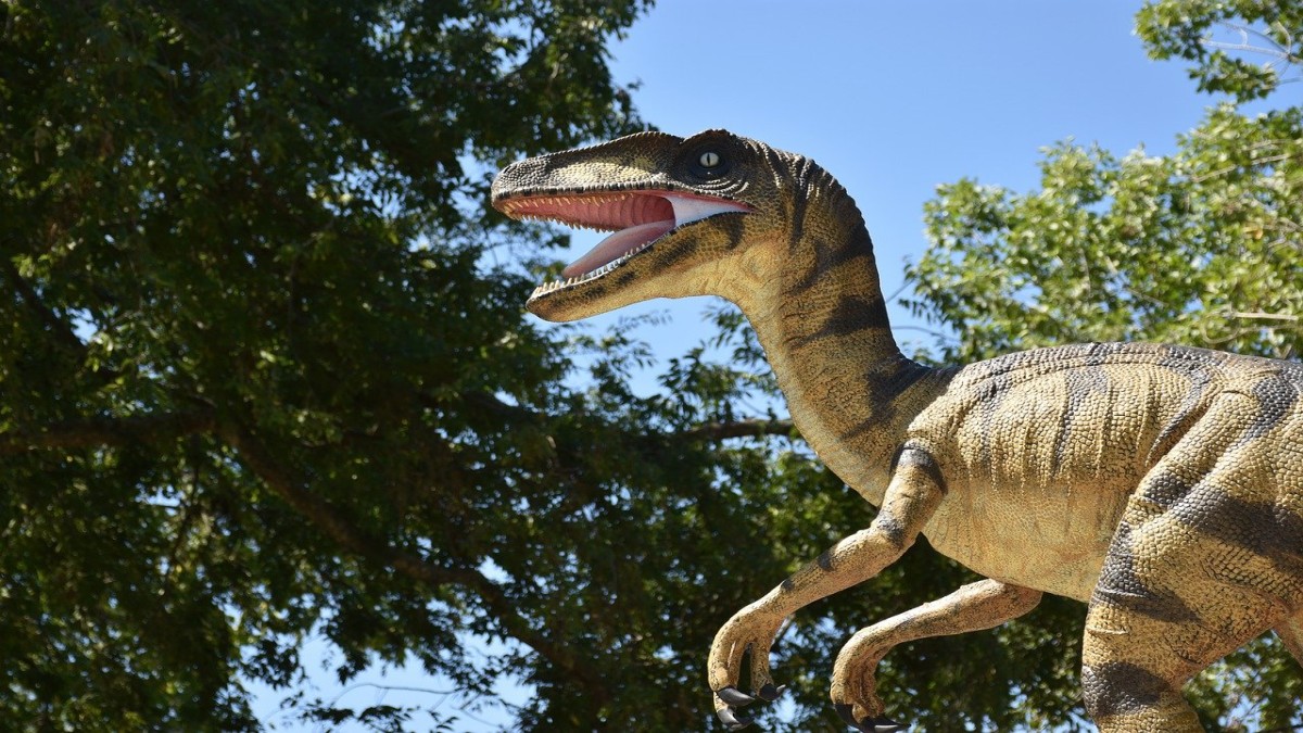 Was there a time when dinosaurs travelled across continents? Here's what new study says Was there a time when dinosaurs travelled across continents? Here's what new study says