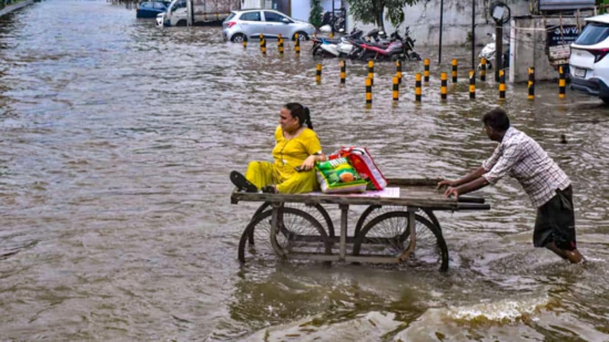 Gujarat floods: How hundreds of crocodiles have taken over Vadodara ...