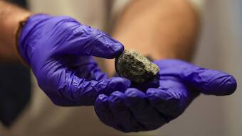 A researcher holds a fragment of meteorite during a press conference where researchers from the University of the Witwatersrand, Nelson Mandela University and Rhodes University explain the entry of a meteorite into Earth's atmosphere over South Africa last week, in Gqeberha, South Africa. Reuters