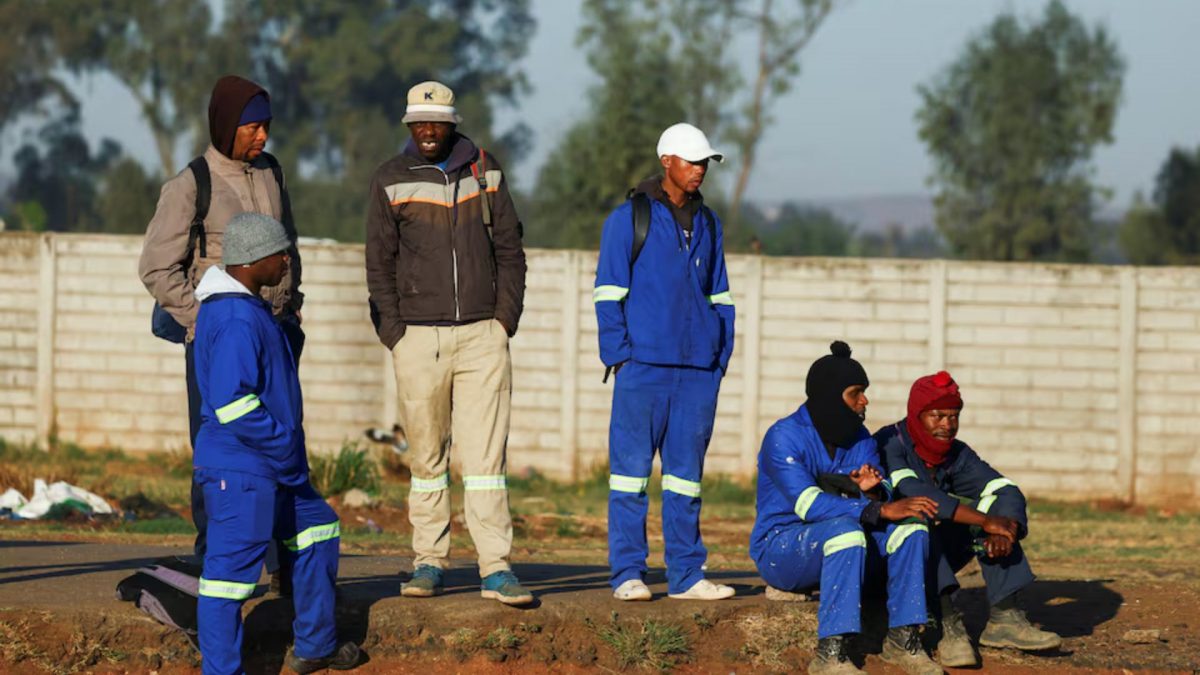 Unemployment 5 times higher among Black people, South Africa reviews 2003 empowerment system Unemployment 5 times higher among Black people, South Africa reviews 2003 empowerment system