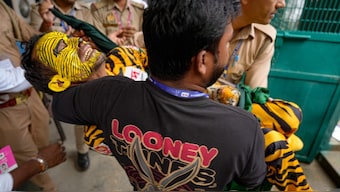 Bangladesh fan Tiger Roby was allegedly attacked by Indian fans during Day 1 of the second Test in Kanpur on Friday. PTI 