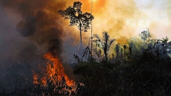 Brazil's Amazon rainforest fires- The August data reaching a 14-year high comes after last month’s fire hotspots in the region surged to a two-decade high.- File Photo- AFP