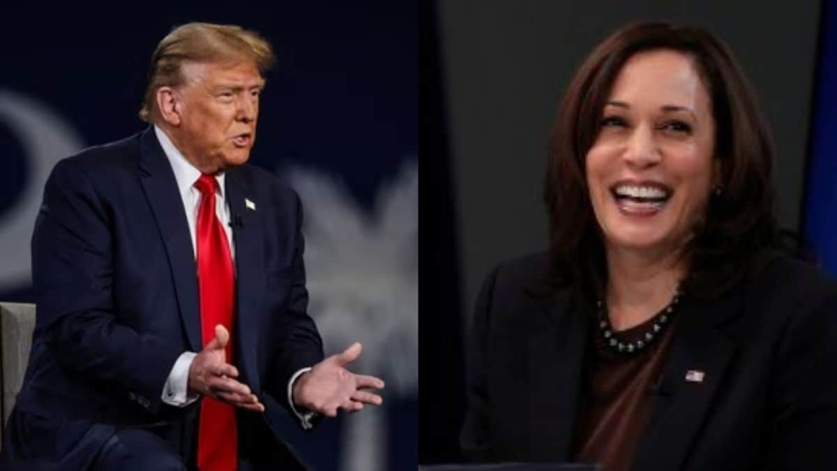 US presidential election: Donald Trump, Kamala Harris and stakes for India