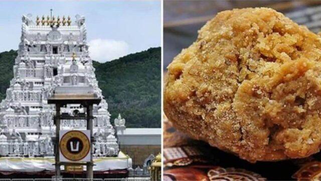 Tirupati Laddu controversy: TDP shows 'lab report' claiming 'beef tallow' in the consecrated sweet