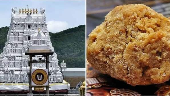 Tirupati Laddu controversy: TDP alleges beef tallow, pig fat & fish oil in consecrated sweet