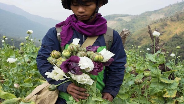Ramification | How instability in Myanmar fosters drug trade, affects India’s security