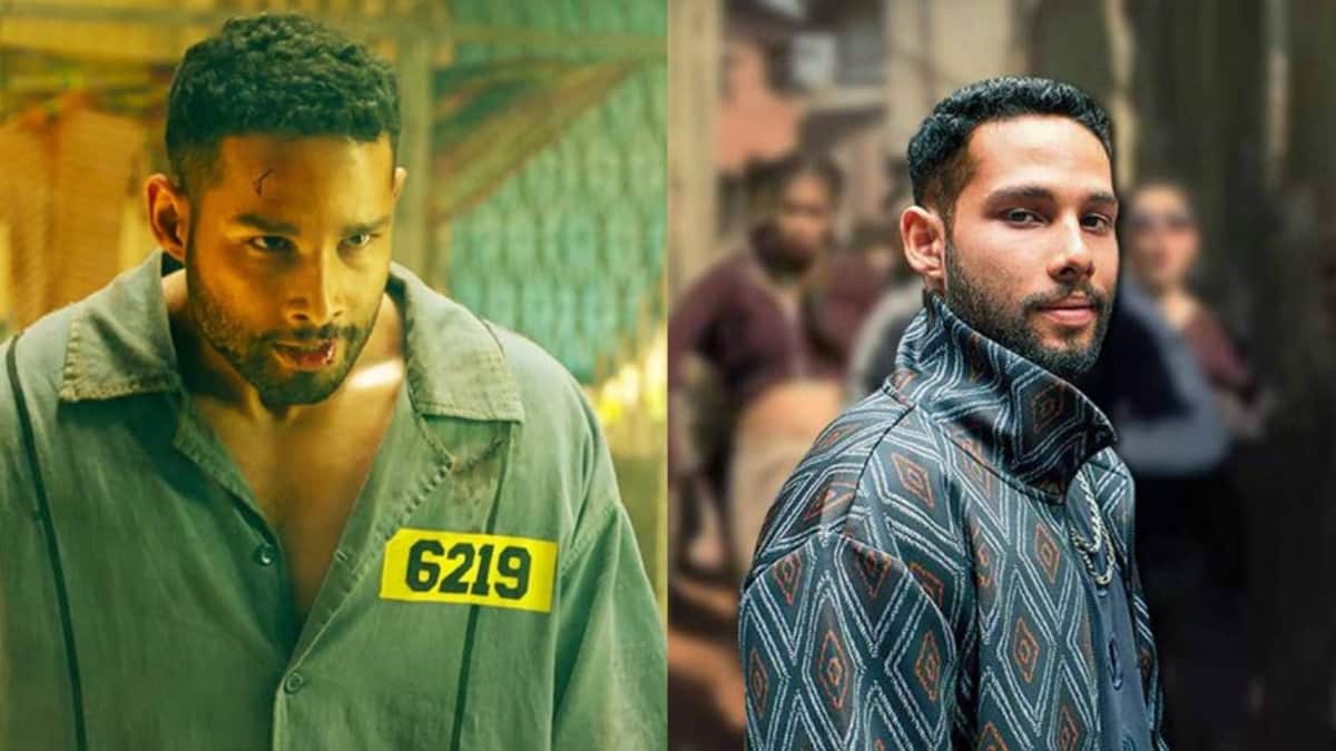 From ‘Gully Boy’ to ‘Yudhra’: Siddhant Chaturvedi’s rise in Bollywood