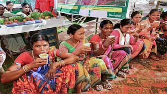 Women voters during voting for the sixth phase of Lok Sabha elections, in Odisha, Saturday, May 25, 2024. PTI 