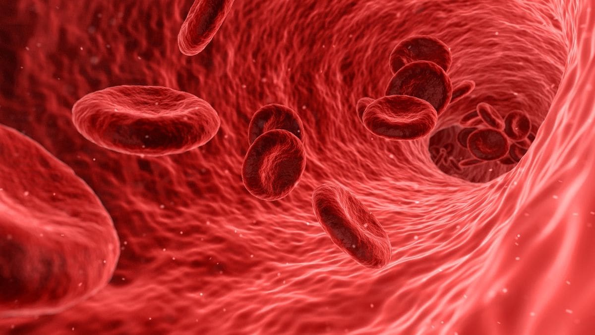 Scientists discover new blood group, solve 50-year-old mystery. What does this mean for patients?