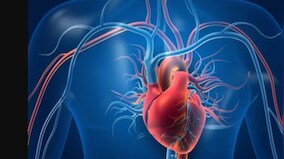 World Heart Day: How diet, exercise & stress management can lower cardiovascular disease risk