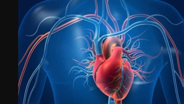 World Heart Day: How diet, exercise & stress management can lower cardiovascular disease risk