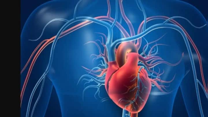 World Heart Day: How diet, exercise & stress management can lower cardiovascular disease risk