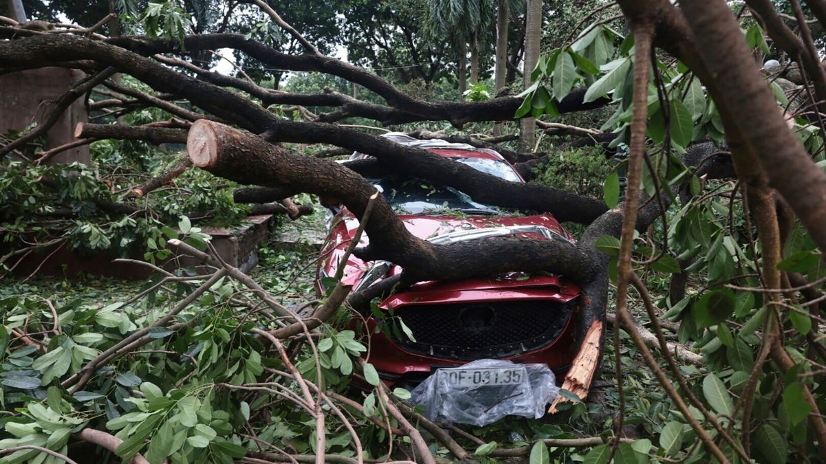 Vietnam: 63 Dead, 40 Missing As Typhoon Yagi Leaves A Trail Of ...