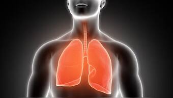 Maintaining lung health is important for overall well-being.  Representational Image/Freepik