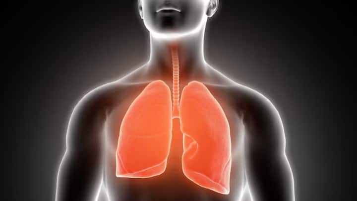 World Lung Day: Why respiratory health matters more than ever