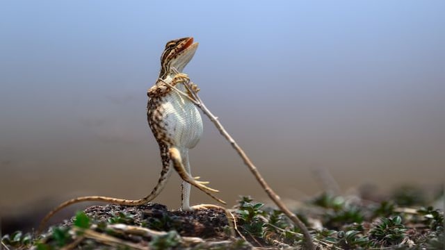 Firstpost