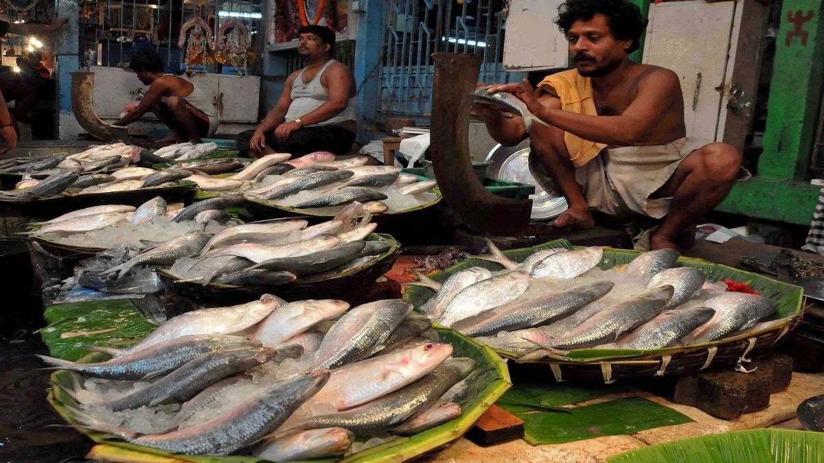 Hilsa Ban: Anti-India Sentiment or Economic Move?