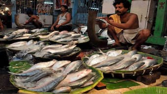 Vendors selling Hilsa fish in a wholesale market in Kolkata. The Bangladeshi interim government has banned the export of hilsa to India after Sheikh Hasina's exit. File image/PTI