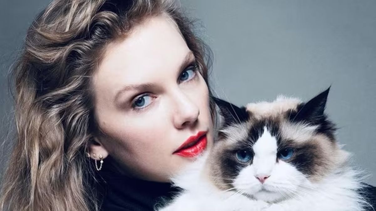 Why did Taylor Swift sign off as ‘childless cat lady’ as she endorsed Kamala Harris for US president? Why did Taylor Swift sign off as ‘childless cat lady’ as she endorsed Kamala Harris for US president?