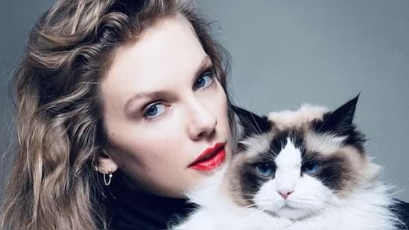 Why did Taylor Swift sign off as ‘childless cat lady’ as she endorsed Kamala Harris for US president?