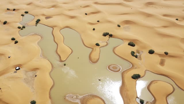 These striking pictures show the Sahara desert’s first floods in 50 ...