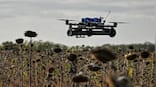 Germany to let police shoot down rogue drones, says interior minister