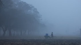 Delhi-NCR becoming gas chamber: Nudging farmers to opt for super seeders, organic farming