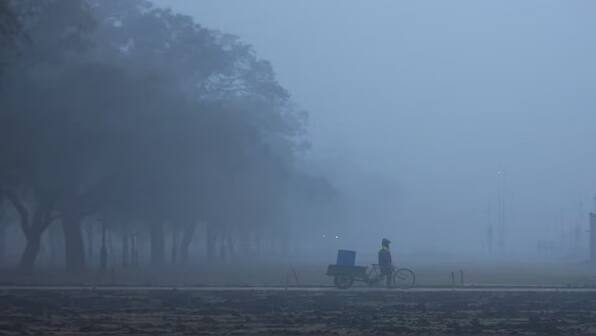 Delhi-NCR becoming gas chamber: Nudging farmers to opt for super seeders, organic farming