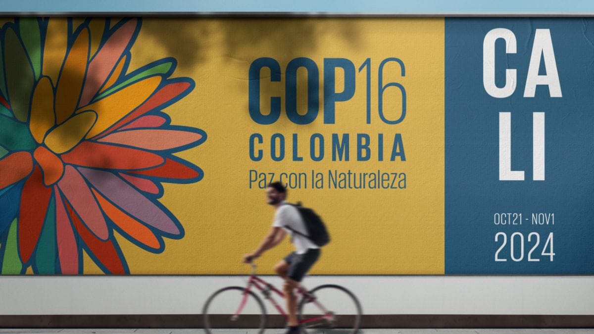 FirstUp: COP16 biodiversity conference in Colombia, Trump to hold campaign event in North Carolina... Big headlines today