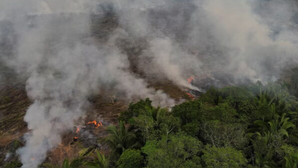Amazon fires hit 10-year high as drought devastates Brazil's rainforest