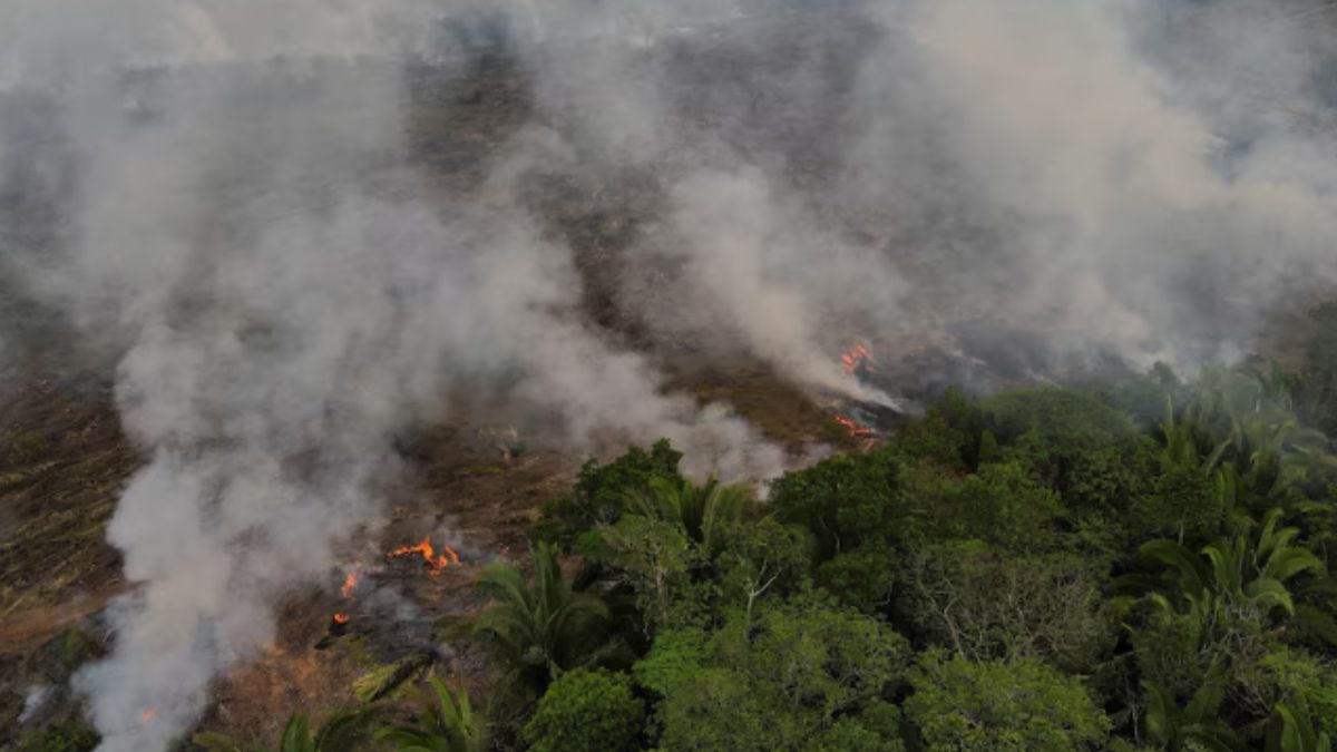 Amazon fires hit 10-year high as drought devastates Brazil's rainforest Amazon fires hit 10-year high as drought devastates Brazil's rainforest