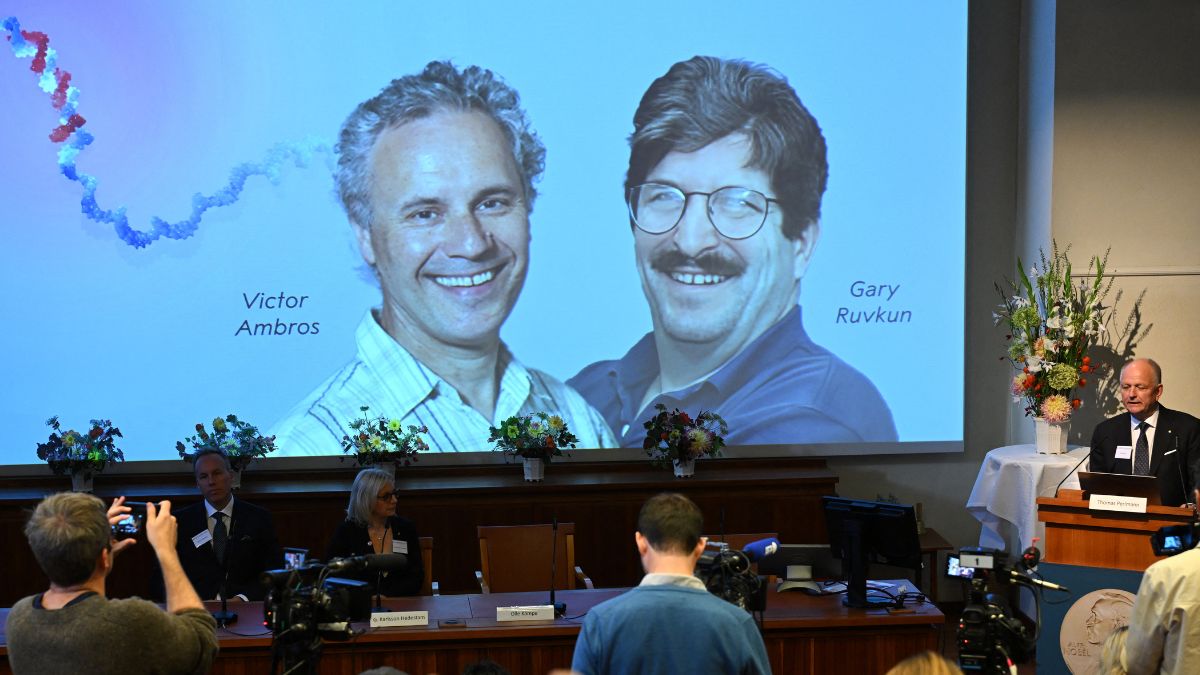 Victor Ambros (left) and Gary Ruvkun (right) have been jointly awarded the 2024 Nobel Prize 2024 for Medicine or Physiology. (Photo: AFP) Victor Ambros (left) and Gary Ruvkun (right) have been jointly awarded the 2024 Nobel Prize 2024 for Medicine or Physiology. (Photo: AFP)