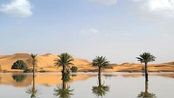 Palm trees are reflected in a lake caused by heavy rainfall in the desert town of Merzouga, near Rachidia, southeastern Morocco, October 2, 2024. File Photo/AP