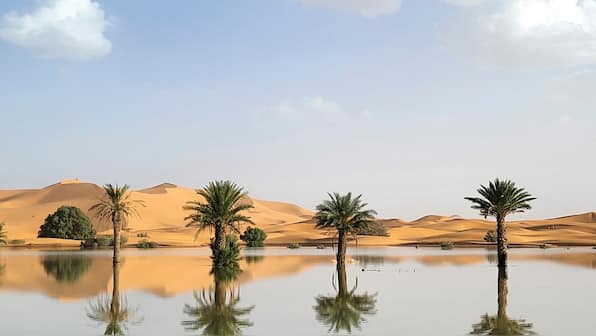 These striking pictures show the Sahara desert’s first floods in 50 years