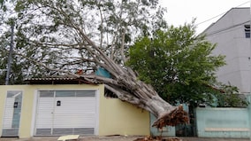 Brazil hit by heavy rainfall following record wildfires, leaving 8 dead