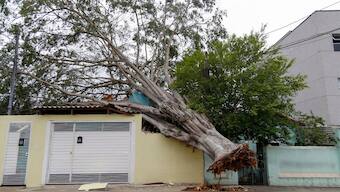 A tree fallen due to heavy rains is seen in a neighborhood in Sao Paulo, Brazil, on October 12, 2024. AFP