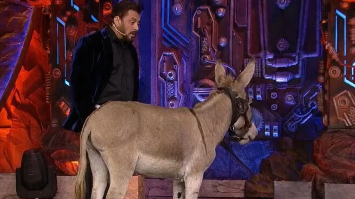 Bigg Boss 18: Salman Khan's show lands in trouble, PETA India appeals to Bollywood superstar to remove a donkey from the sets