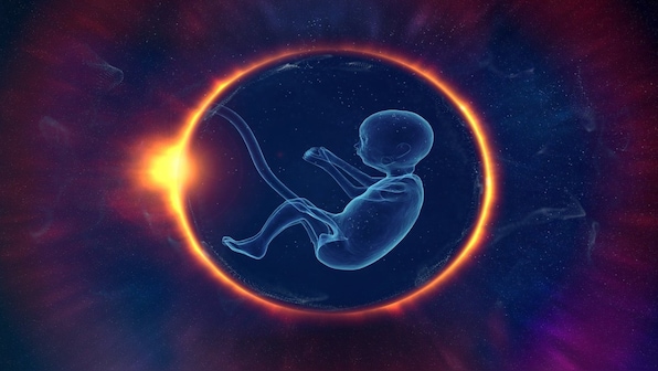 What is the ‘pause button’ for human life that scientists have discovered?