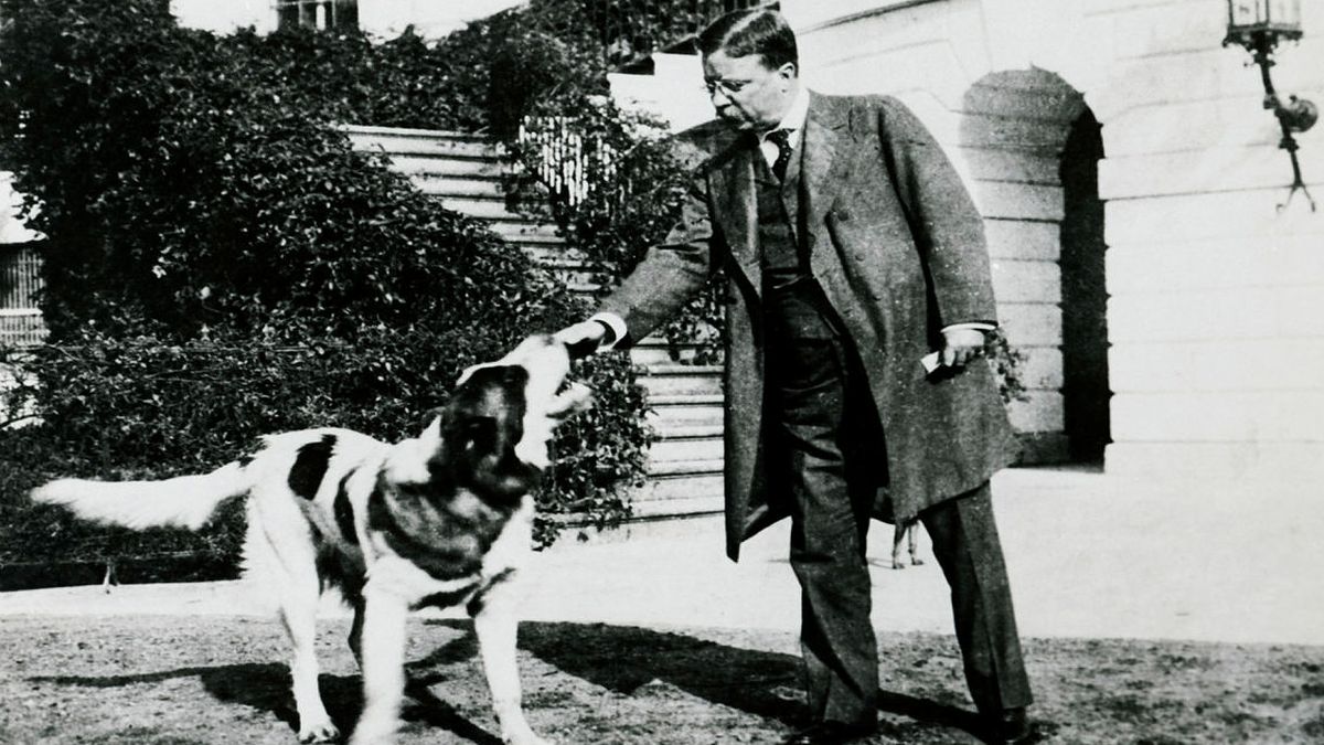 Theodore Roosevelt with his pet at the White House. Image courtesy: @WhiteHouseHstry/X Theodore Roosevelt with his pet at the White House. Image courtesy: @WhiteHouseHstry/X
