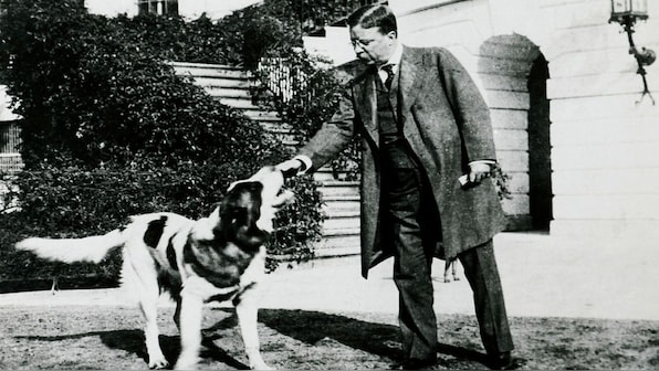  Theodore Roosevelt, the president who served as inspiration for the Teddy Bear