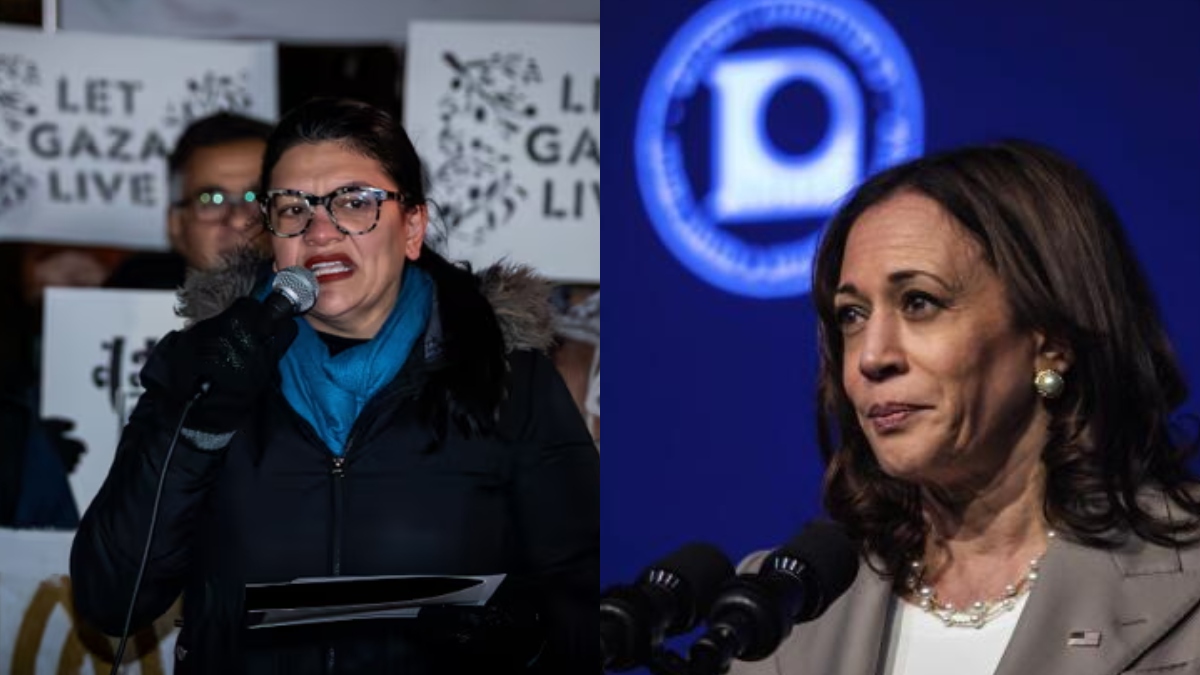 Democratic congresswoman Rashida Tlaib declines to endorse Kamala Harris over Gaza war Democratic congresswoman Rashida Tlaib declines to endorse Kamala Harris over Gaza war