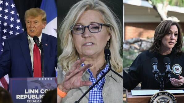 Harris calls for Trump's disqualification as he suggested Liz Cheney should have 'guns trained on her face'