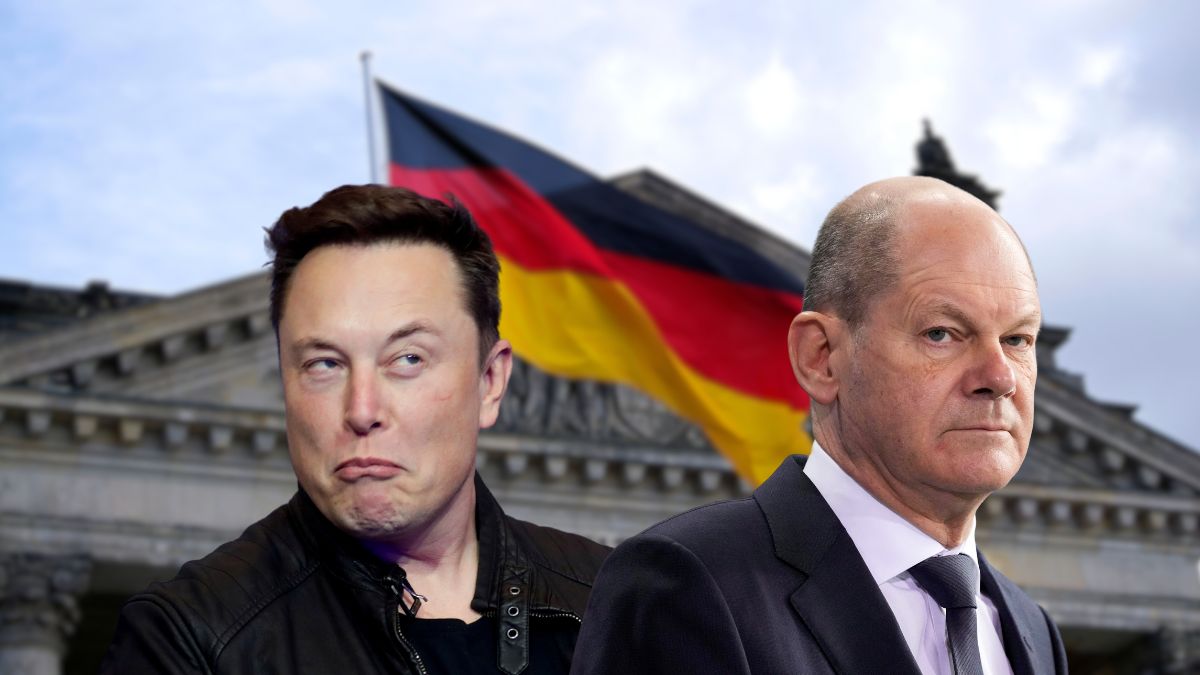 Euphoric over Trump victory, Musk calls Germany’s Scholz ‘a fool’ after his coalition collapses Euphoric over Trump victory, Musk calls Germany’s Scholz ‘a fool’ after his coalition collapses
