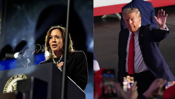 Hindu Americans emerge as crucial voting bloc in tight US presidential race