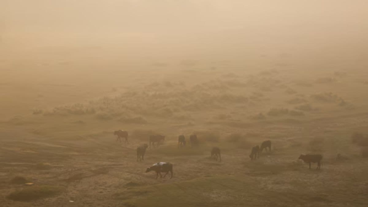 India, Pakistan & Bangladesh in same smog bloc, only 7 countries meet WHO air quality standards