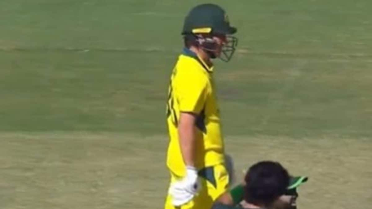 Watch: Adam Zampa pranks Mohammad Rizwan into taking DRS during second Australia-Pakistan ODI