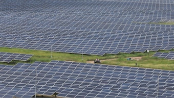 The solar energy sector has experienced rapid growth, with energy generation increasing by 19 per cent between 2023 and 2024. Representational image. Reuters