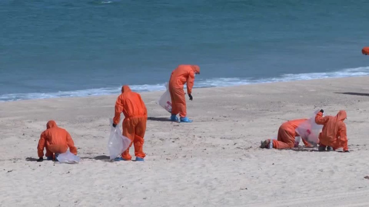 Not tar balls but 'revolting' fatbergs invaded Sydney beaches: What are they? Not tar balls but 'revolting' fatbergs invaded Sydney beaches: What are they?