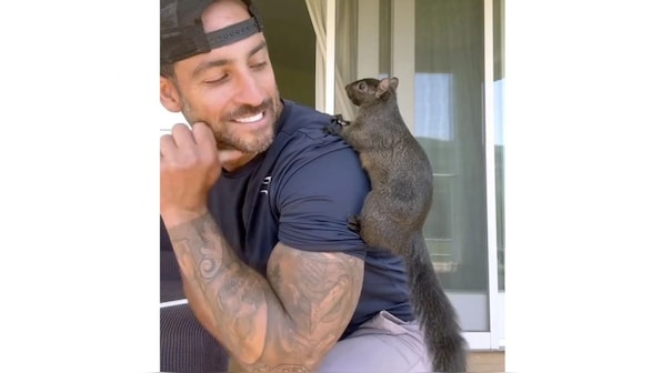 Why New York officials seized Peanut, the squirrel who became a social media star?
